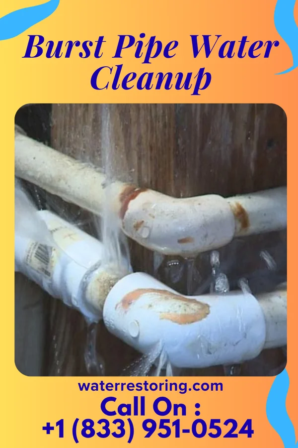 Burst Pipe Water Cleanup in Emmaus, PA