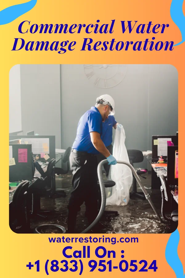 Commercial Water Damage Restoration in Emmaus, PA