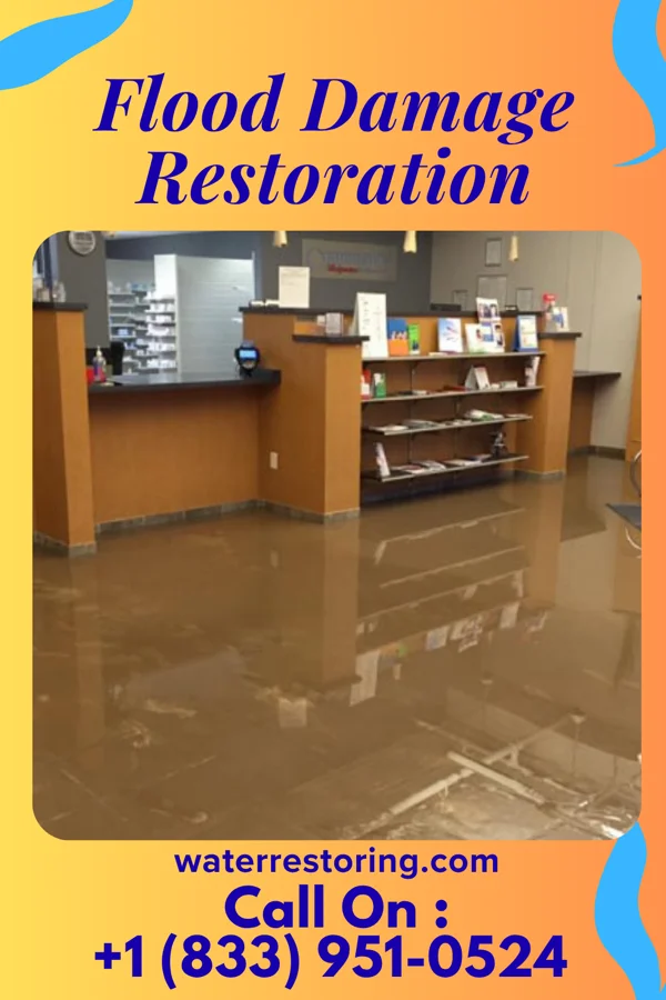 Flood Damage Restoration in Emmaus, PA