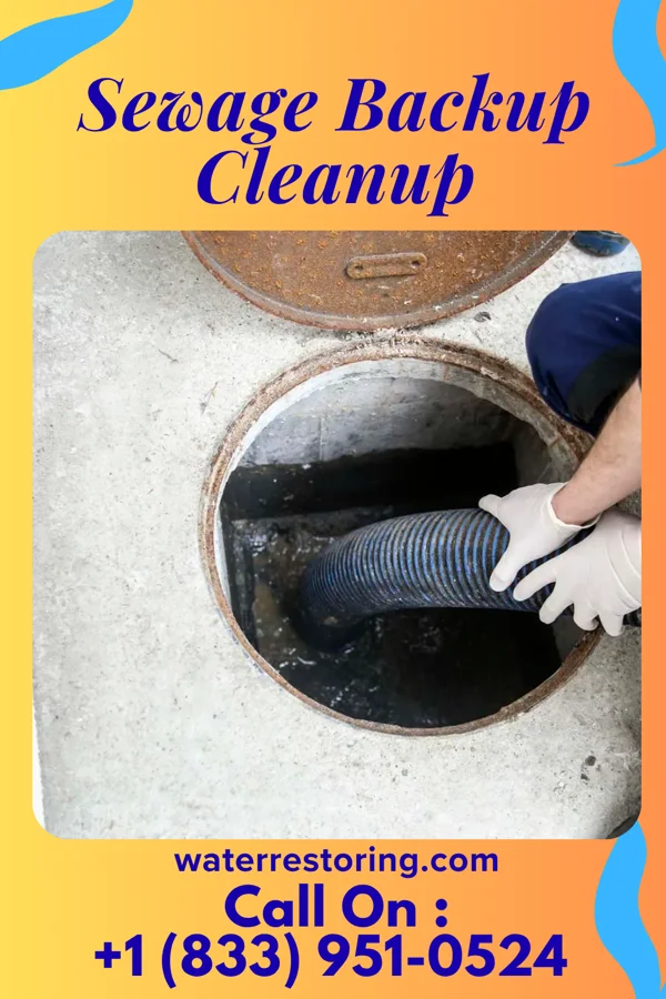 Sewage Backup Cleanup in Emmaus, PA