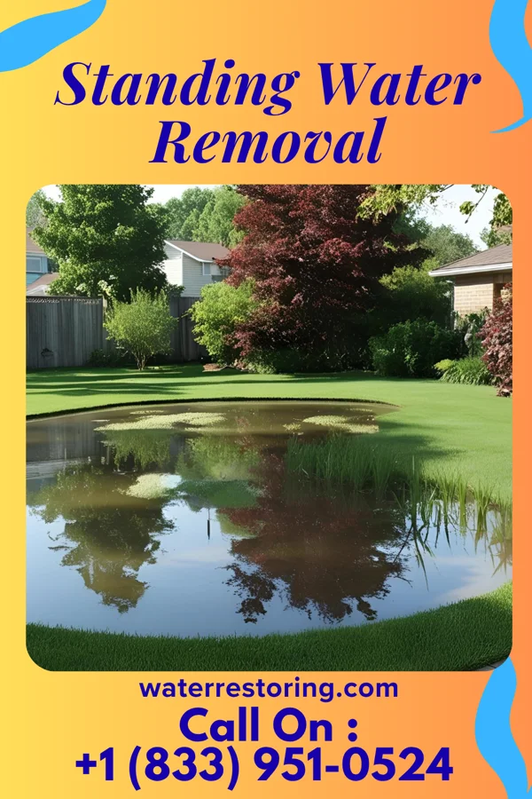 Standing Water Removal in Emmaus, PA